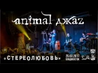 Animal Джаz - Стереолюбовь (Live, Владивосток, 25.03.2017)
