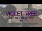 바이올렛트리 Violet Tree 2016 CIS Tour Documentary #4