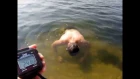 Freediving static apnea 4:17  Vladimir Bityutskiy
