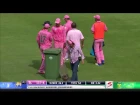 South Africa vs Sri Lanka - 3rd ODI  - Bees