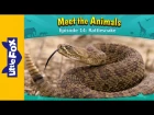 Meet the Animals 14: Rattlesnake | Level 2 | By Little Fox
