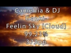 Camellia & DJ Genki - Feelin Sky [Cloud] - 99.23% 373pp