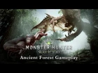 Monster Hunter: World - Ancient Forest Gameplay