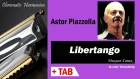 Libertango - Harmonica TAB - Михаил Гапак - Seydel Saxony