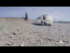 "Gossoria" ANHIDEMA | Official music video