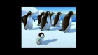 Pigloo - Papa pingouin- YourKidTV