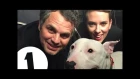 Pig (the dog) interviews Scarlett Johansson and Mark Ruffalo