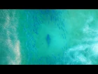 DJI Stories - Australian Coastline Watch