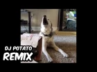 Dimitri Vegas & Like Mike & Steve Aoki vs. Ummet Ozcan - Melody (DJ Potato Remix)