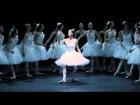 Schwanensee - rekonstruiert von Alexei Ratmansky - Trailer - Ballett Zürich