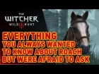 The Witcher 3: Wild Hunt - Вся правда о Плотве