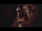 Company of Wolves (1984) - Huntsman transformation