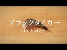 How to filet Black tiger Shrimp 