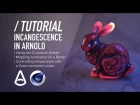 ( / ) C4D & Arnold TUTORIAL - Procedural Incandescence