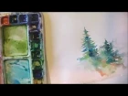 How to Paint Lively Pine Trees in Watercolor