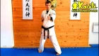 Татэ цуки базовый удар школы киокушинкай каратэ | Tate tsuki basic punch school of Kyokushin karate|