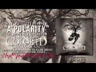 The Room Colored Charlatan - A Polarity (feat. Jonathan Carpenter) (Official Lyric Video)