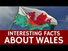 Fun Facts about Wales for Kids – Countries of the United Kingdom (Educational Top 5)