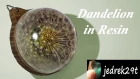 DIY. Dandelion in Resin/Dmuchawiec w Żywicy