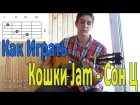 #15 Как Играть "Кошки Jam - Сон Ц" на гитаре ( Видео Разбор Песни ) / Уроки Игры На Гитаре