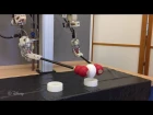 A Hybrid Hydrostatic Transmission and Human Safe Haptic Telepresence Robot