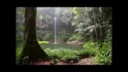 Звуки леса  Пение птиц  Журчание водопада и Шум дождя  90 минут!