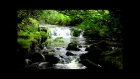 1 Hour of Soothing Nature Sounds in HD-Relaxing Sound of Water and Birdsong-Meditation