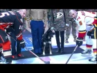 Gotta See It: Bomb sniffing dog drops ceremonial puck
