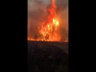 Пожар в курганской области.