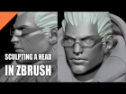 Sculpting a Head From Scratch in ZBrush