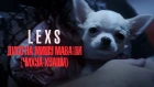 LEXS - Дисс на Мишу Маваши (ЧИХУА-ХУАШИ) [Рэп Revolution]