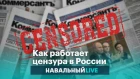 Роскомнадзор, фейковые новости, казаки: как работает цензура в России