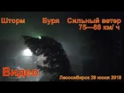 Сильный ветер Лесосибирск 2018 29 июня Вывернул деревья с корнем шифером побил автомобили порвал про