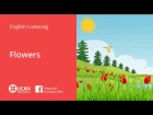 Learn English Via Listening | Beginner - Lesson 31. Flowers