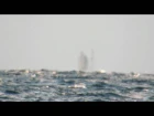 A Ghost Ship Appears on Lake Superior (Original)