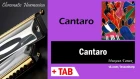 Cantaro - Harmonica TAB - Михаил Гапак - Hohner CX12 Jazz