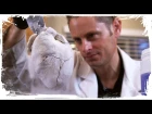 Guy Freezes A Heart With Liquid Nitrogen, Then Smashes It To Pieces (Just Like Your Ex Did)