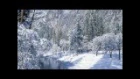 Прогулка по зиме под музыку Франсиса Лея (Francis Lai)