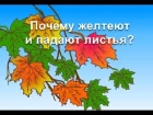 Обучающий мультфильм - Почему желтеют и падают листья? Развивающий мультик для детей