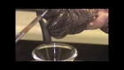 Gila Monster (Heloderma suspectum) venom extraction at KRZ