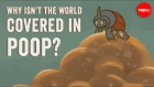 Why isn't the world covered in poop? - Eleanor Slade and Paul Manning