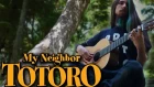 Tuvi - Path of The Wind: My Neighbor Totoro (Classical Guitar Cover)