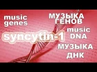Музыка ДНК - Мелодия Генома - Syncytin-1 (enverin)
