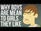 Why Boys Are Mean To Girls They Like