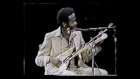 Lonnie Pitchford - National Down Home Blues Festival - Atlanta, Georgia (1984)