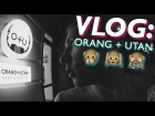 VLOG: ORANG + UTAN / QUEST PISTOLS x АГОНЬ / Андрей Мартыненко