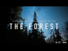 THE FOREST - A Time-Lapse Journey Through the Forgotten Norway 4K