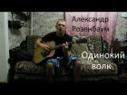 Александр Розенбаум - Одинокий волк (cover)