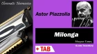 Milonga  - Harmonica TAB - Михаил Гапак - Seydel Saxony