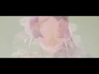 Slow Meadow - Album Trailer